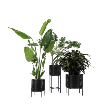 Cache pot IVO