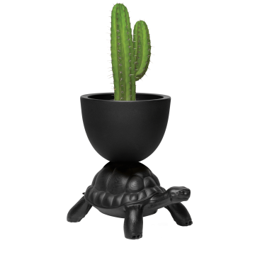Turtle Planter