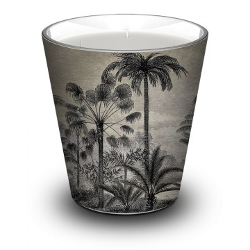 Bougie Amazonia Grey