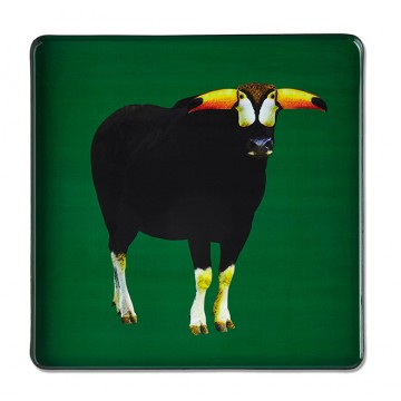 Plateau carré Torotoucan