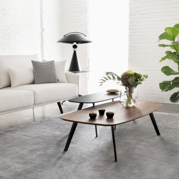 Table Basse Noyer Solapa - 60x120x36cm